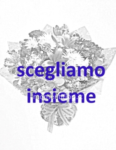 X qualsiasi modifica , esigenza ,non compresa, contattare il 3483339662,risolveremo insieme