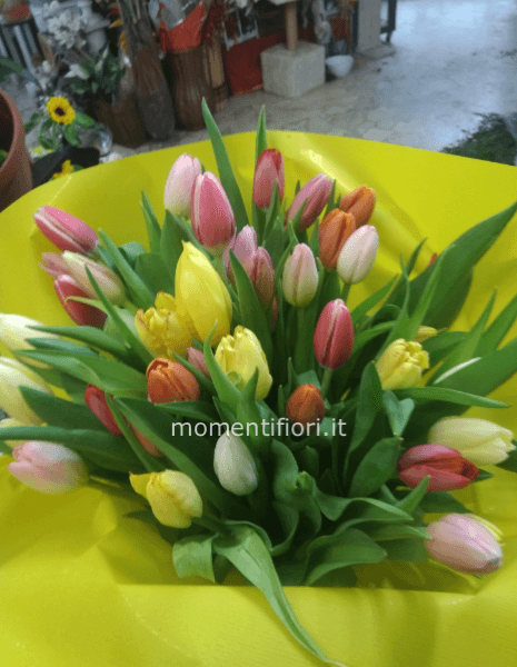 Tulipani colorati