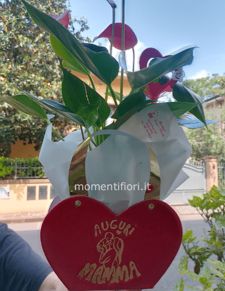 Festa della mamma